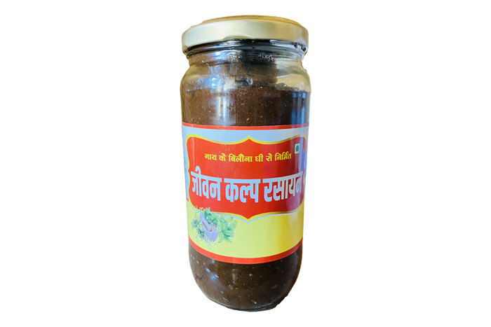 Service Provider of Jeevan Kalp Rasayan in New Delhi, Delhi, India.